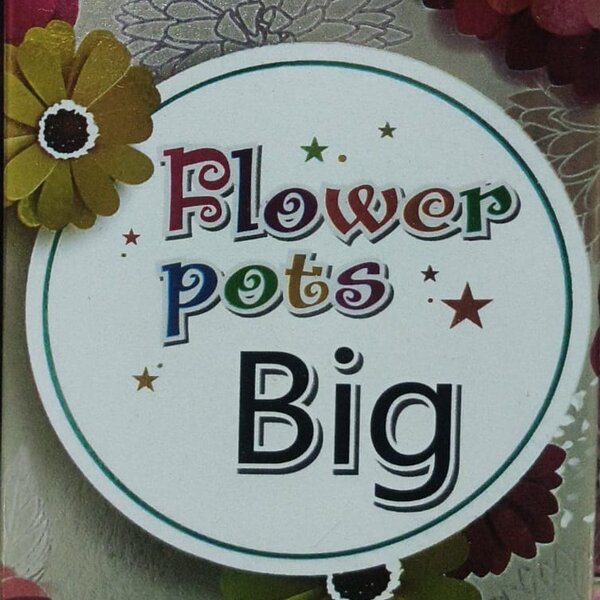 Flower Pot Big